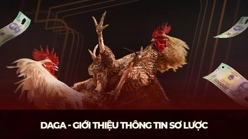 Daga - Giới thiệu thông tin sơ lược