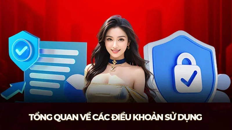 Tổng quan về các điều khoản sử dụng quan trọng tại Daga