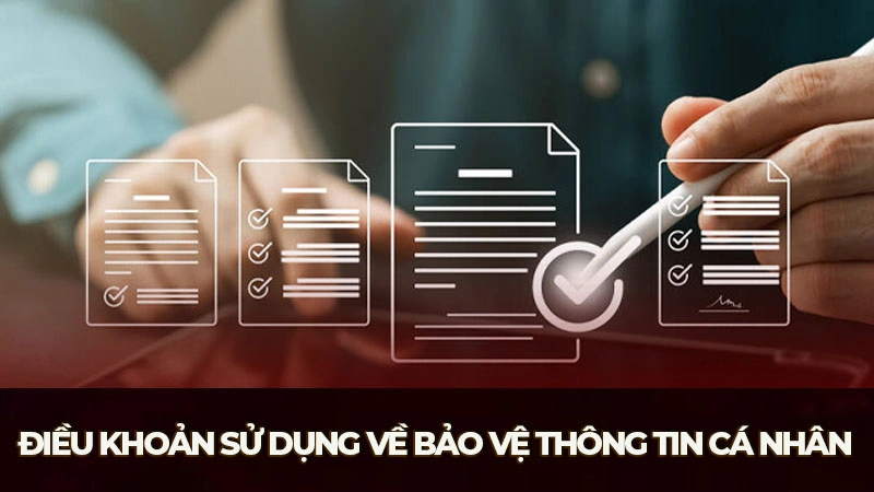 Điều khoản sử dụng liên quan đến việc bảo vệ thông tin cá nhân