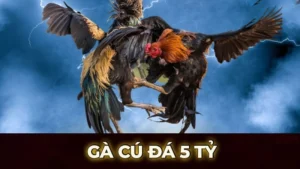 ga cu da 5 ty 1