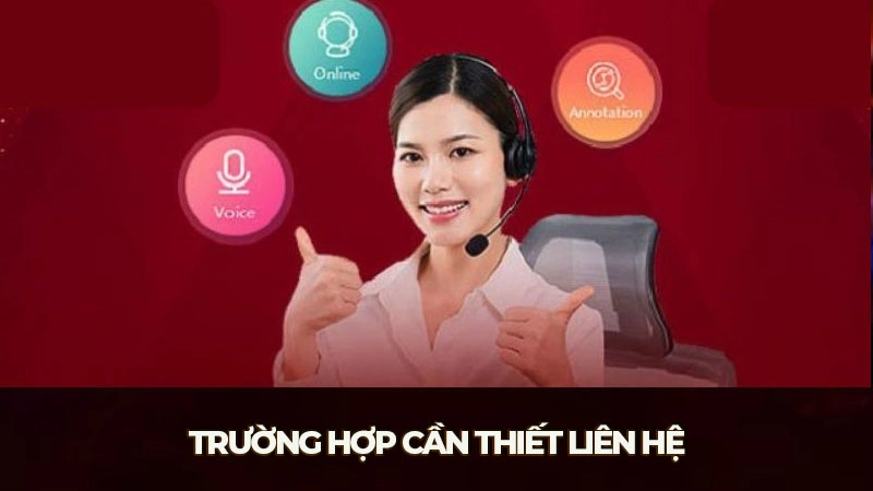 Trường hợp cần thiết liên hệ