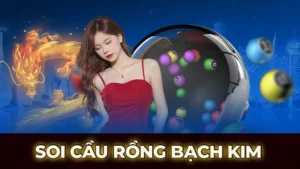 soi cau rong bach kim 1