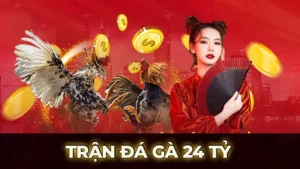 tran da ga 24 ty 1